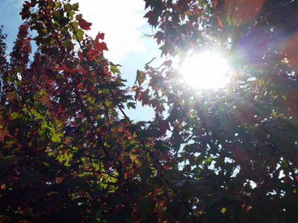 Fall 2015 news thumbnail